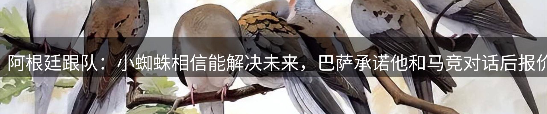 资讯动态
